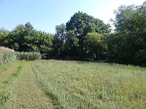 6111 Clise Rd, Bath, MI 48808 photo 73
