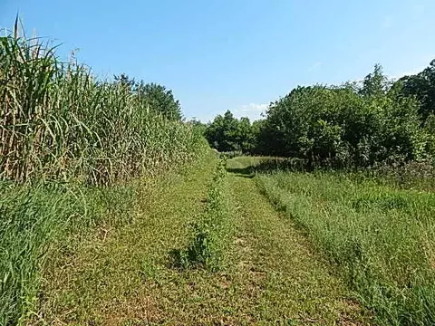6111 Clise Rd, Bath, MI 48808 photo 70