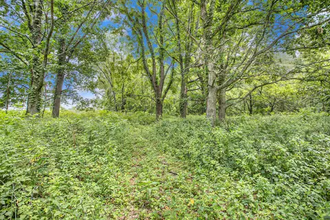 55377 Walterspraugh Rd, Mendon, MI 49072 photo 56