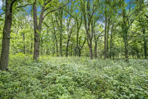 55377 Walterspraugh Rd, Mendon, MI 49072 photo 54