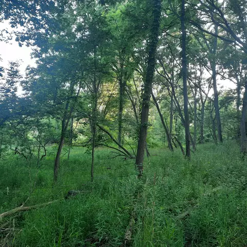 Bell Road, Lake Odessa, MI 48849