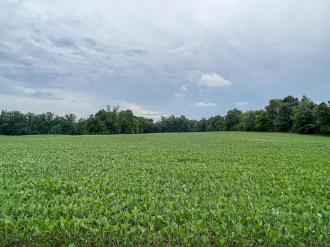 57772 M 62, Cassopolis, MI 49031 photo 36