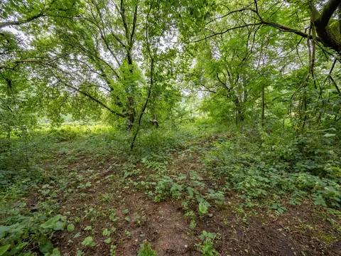 1248 Marsh Rd, Plainwell, MI 49080 photo 42