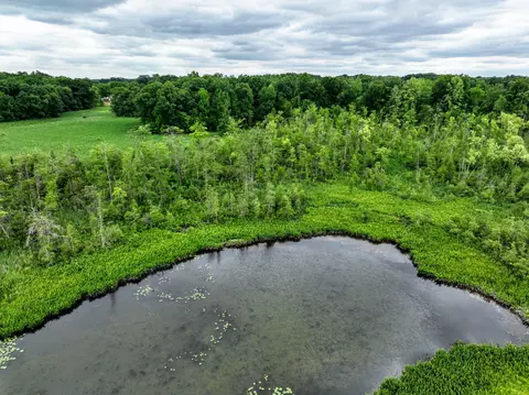 Vl Mud Lake Rd, Bellevue, MI 49021