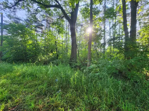 0 Dalson Rd, Twin Lake, MI 49457