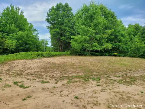 0 108th Ave, Pullman, MI 49450 photo 3