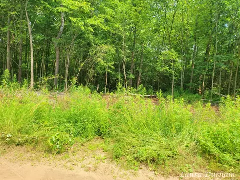 0 108th Ave, Pullman, MI 49450 photo 8