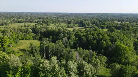 00 N 210th Ave, Leroy, MI 49655