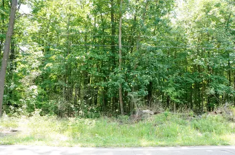 lot1 Leora Ln, Jackson, MI 49201