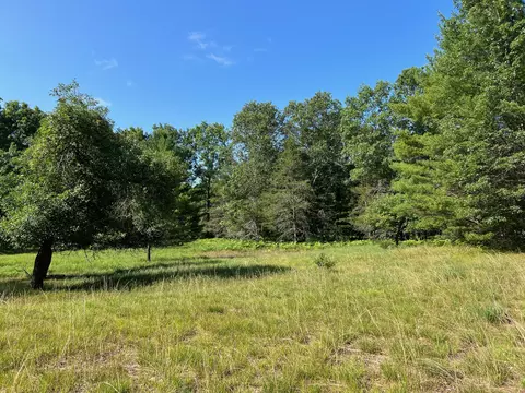 Mac Road, Irons, MI 49644 photo 11