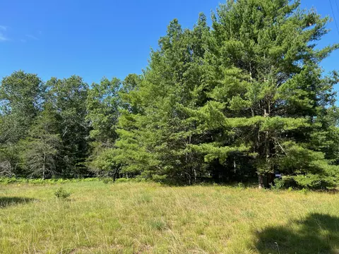 Mac Road, Irons, MI 49644 photo 12