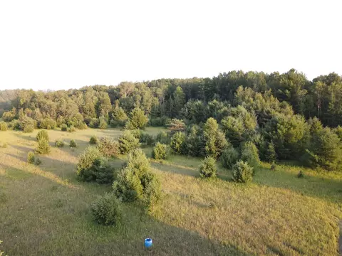 5100 E Walker Road Rd, Lake City, MI 49651