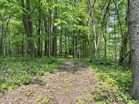 16153 Arnold Rd, Gregory, MI 48137 photo 22