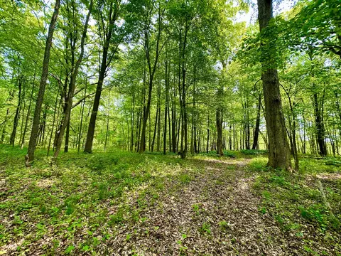 16153 Arnold Rd, Gregory, MI 48137 photo 24