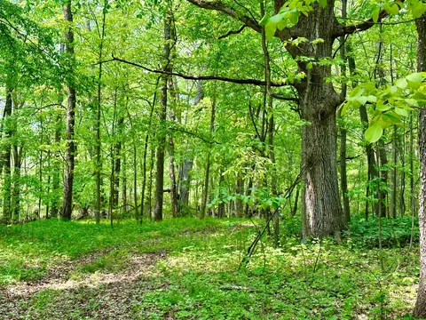 16153 Arnold Rd, Gregory, MI 48137 photo 23