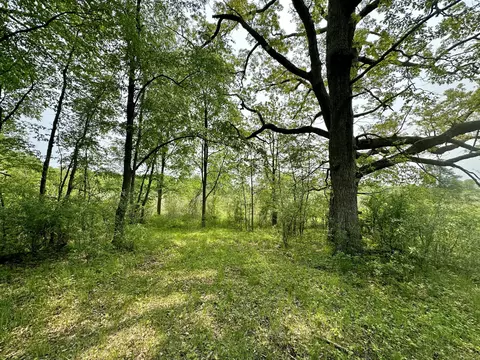 16153 Arnold Rd, Gregory, MI 48137 photo 25