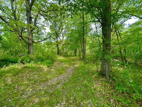 16153 Arnold Rd, Gregory, MI 48137 photo 26