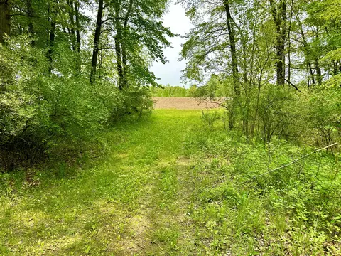 16153 Arnold Rd, Gregory, MI 48137 photo 21