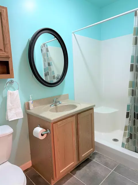775 Spicer Dr, Brooklyn, MI 49230 photo 20