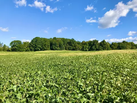 Foust Road, Osseo, MI 49266