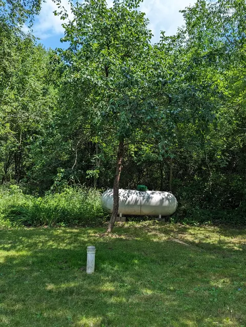 295 E 104th St, Grant, MI 49327 photo 57