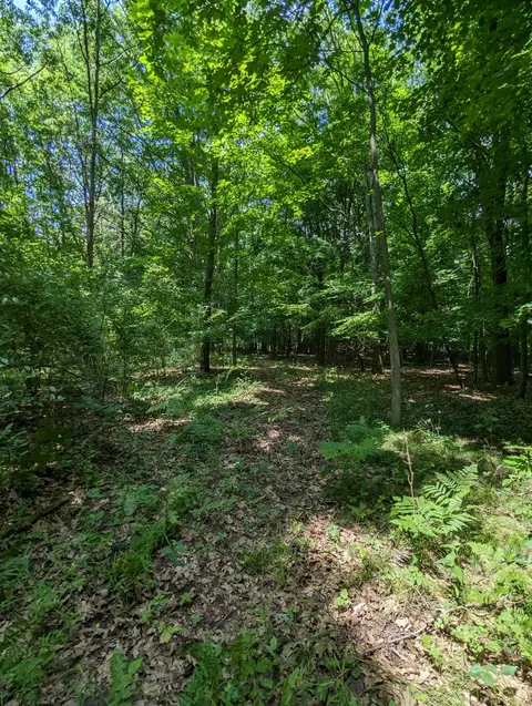 295 E 104th St, Grant, MI 49327 photo 49