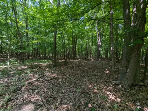 295 E 104th St, Grant, MI 49327 photo 50