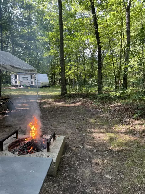 V/l Harris Road, Wellston, MI 49689