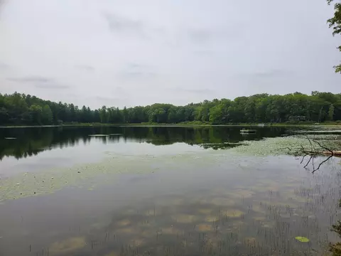 V/l Ridgeview Drive, Irons, MI 49644