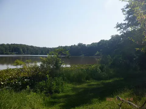 18677 S River Rd, Three Rivers, MI 49093 photo 25