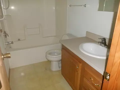 18677 S River Rd, Three Rivers, MI 49093 photo 17