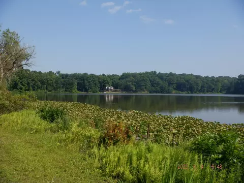 18677 S River Rd, Three Rivers, MI 49093 photo 26