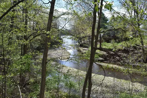 11191 Bayou Dr, Stanwood, MI 49346