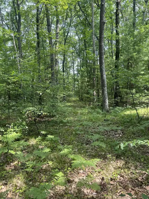 00 James St, Wellston, MI 49689