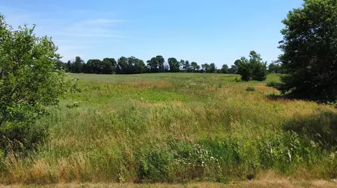 14118 Elm Row Ln, Albion, MI 49224