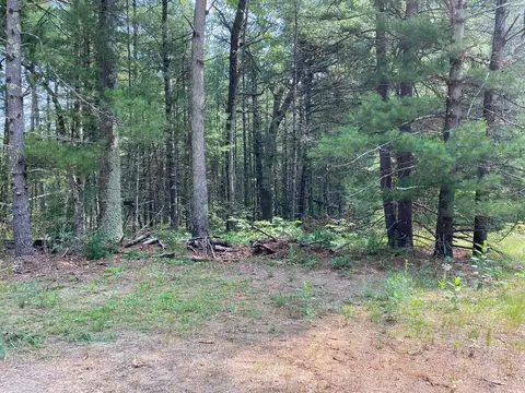 0 Lake Dr, Idlewild, MI 49642