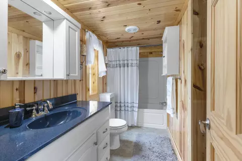 16522 Bailey Rd, Bailey, MI 49303 photo 15