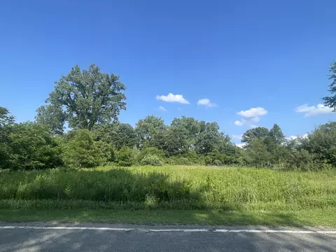 Vl Dearmyer Road, Brooklyn, MI 49230