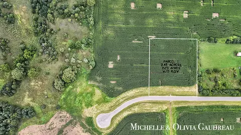 VL Gibson Farms Drive #PARCEL 1, Middleville, MI 49333