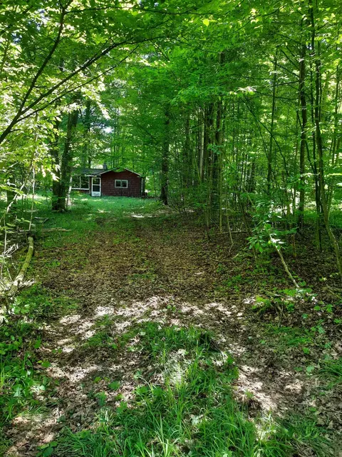 6684 N Coe Rd, Luther, MI 49656