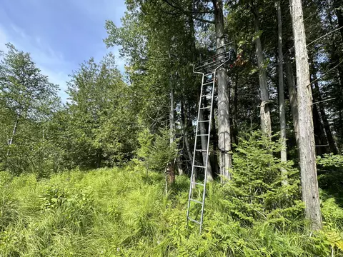 00 W Bawkey Rd, Farwell, MI 48622