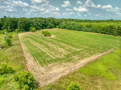 0 Case Rd, Brooklyn, MI 49230 photo 10