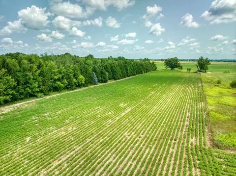 0 Case Rd, Brooklyn, MI 49230 photo 7