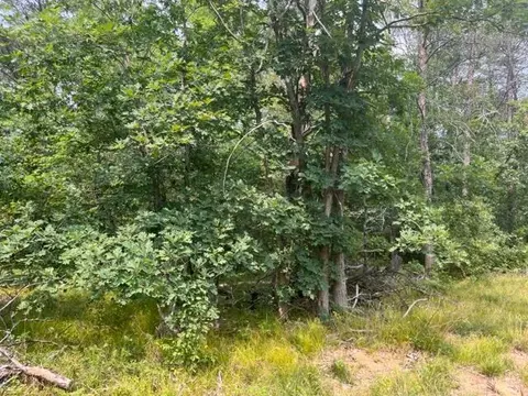 Block 11 Spice Bush Trail, Idlewild, MI 49642