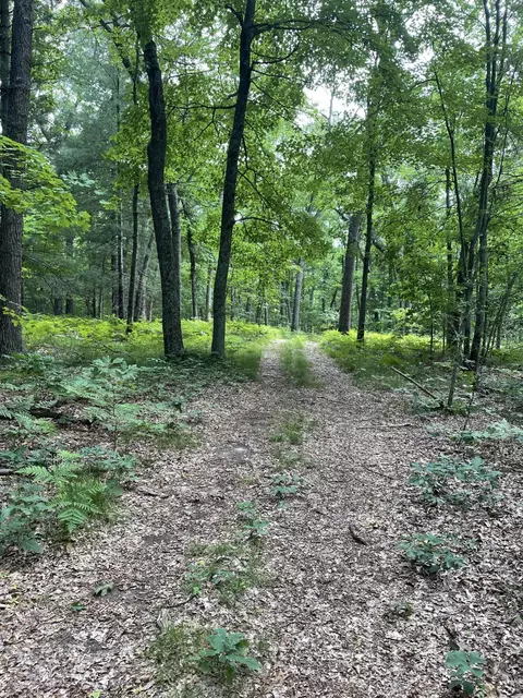 51 E Mckinley Rd, Montague, MI 49437