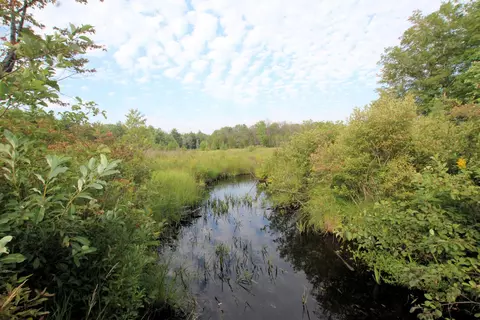 Baseline Road, White Cloud, MI 49349 photo 39