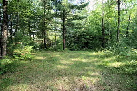 Baseline Road, White Cloud, MI 49349 photo 11