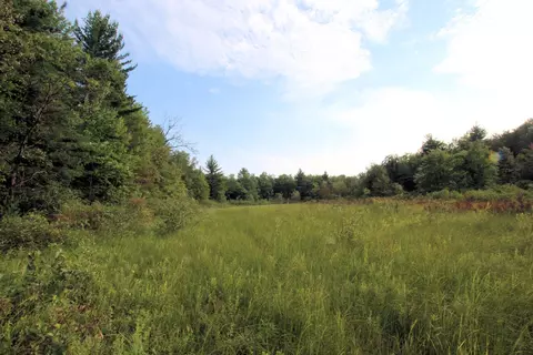 Baseline Road, White Cloud, MI 49349 photo 32