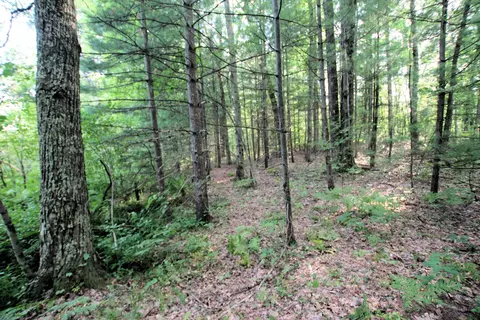 Baseline Road, White Cloud, MI 49349 photo 20