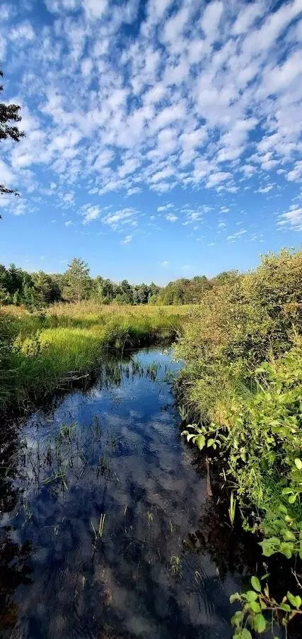 Baseline Road, White Cloud, MI 49349 photo 2